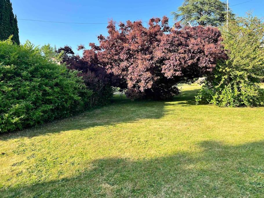 Gite De La Petite Fourmy Saint-Sulpice-les-Feuilles Exteriör bild