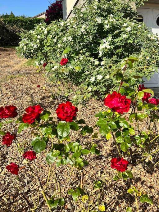 Gite De La Petite Fourmy Saint-Sulpice-les-Feuilles Exteriör bild